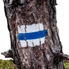 Kéktúra