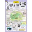 Cartographia Irodalmi atlasz 5-8. évfolyam (CR-0142) 9789632625591