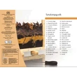 Cartographia  - Legyél te is bogárvadász!