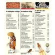Mi és hol történt a világban?