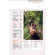 Peru Best of útikönyv  Lonely Planet (angol)