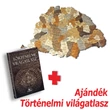 Cartographia Nagy-Magyarország 3D fa puzzle falitérkép 100x66 cm