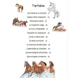 Cartographia - 101 dolog, amit jó ha tudsz a lovakról - 9789634455837