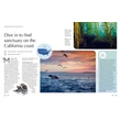 The Joy of Wild Swimming Lonely Planet
