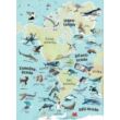 Cartographia Atlasz az óceánokról - Napraforgó-9789634833246