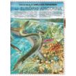 Cartographia Atlasz az óceánokról - Napraforgó-9789634833246