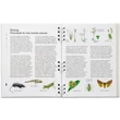 Cartographia Az Alpokalja legszebb túrái túrakönyv - 9786158184830