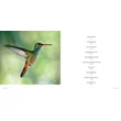 Cartographia Beautiful World mini album (angol) Lonely Planet 9781838694678