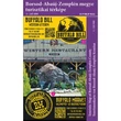 Cartographia Borsod-Abaúj-Zemplén megye térképe - Stiefel 2000000012414