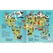 Cartographia Első világatlaszom - Kreatív-9786066469050