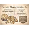 Cartographia Nagy-Magyarország 3D fa puzzle falitérkép 100x66 cm