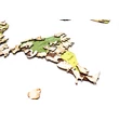Cartographia  Világtérkép - A világ állatai - fa puzzle falitérkép 130x70 cm