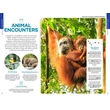 Indonézia útikönyv Lonely Planet (angol)
