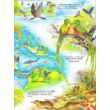 Cartographia - Képes atlasz gyermekeknek - Állatok és élőhelyek - 9789634459149