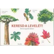 Cartographia Keresd a levelét! - Memóriajáték fákkal - Scolar 5999887153020
