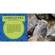 CartographiaA világ legcukibb állatai könyv gyerekeknek (World's Cutest Animals) - Lonely Planet- 9781788681247