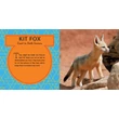 CartographiaA világ legcukibb állatai könyv gyerekeknek (World's Cutest Animals) - Lonely Planet- 9781788681247