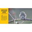 CartographiaA világ legcukibb állatai könyv gyerekeknek (World's Cutest Animals) - Lonely Planet- 9781788681247