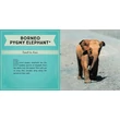 CartographiaA világ legcukibb állatai könyv gyerekeknek (World's Cutest Animals) - Lonely Planet- 9781788681247
