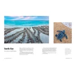 Ausztrália legszebb partjai (Best Beaches) útikönyv Lonely Planet