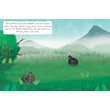 Cartographia  - Fedezd fel... A dzsungelt (Let's Explore... Jungle) - Lonely Planet-9781760340384