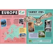 Cartographia Állatos könyv (THE ANIMAL BOOK - Lonely Planet) 9781786574336