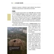 Cartographia  -  Nápoly és az Amalfi-part barangoló 2.  - Lingea 9789635051311