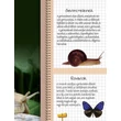 Cartographia Az állatok nagy könyve - Napraforgó-9789634455059