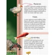 Cartographia Az állatok nagy könyve - Napraforgó-9789634455059