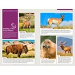 Cartographia-Nagy-tavak és Közép-nyugat USA nemzeti parkjai útikönyv - Lonely Planet (angol)-9781838696108