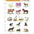 Cartographia Ház körül élő állatok tanulói munkalap duo -Stiefel 5998504317807