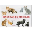 Cartographia Macskák és cicák memóriajáték - Scolar 5999887153082