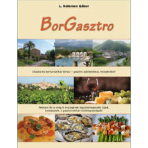 Cartographia Borgasztro könyv 9786155060144