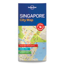 Cartographia Szingapúr laminált térkép 9781786575074