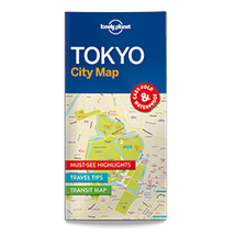Cartographia Tokió laminált térkép 9781786577832