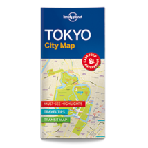 Cartographia Tokió laminált térkép 9781786577832