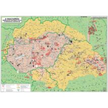 Cartographia Magyarország néprajzi DUO falitérkép 68 X 49 - Stiefel 5998504312949