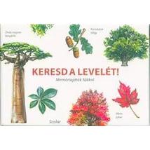 Cartographia Keresd a levelét! - Memóriajáték fákkal - Scolar 5999887153020