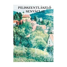 Cartographia Pilisszentlászló várostérkép - Stiefel 9789637308895