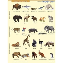 Cartographia Vadon élő állatok tanulói munkalap 5998504317814