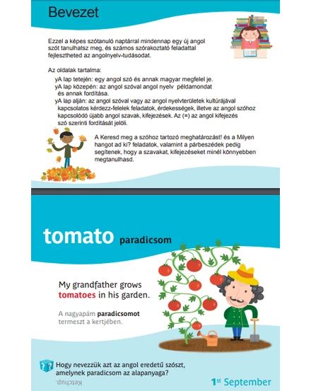 Agymenők 365 angol szó példamondatokkal (7-9 éveseknek)