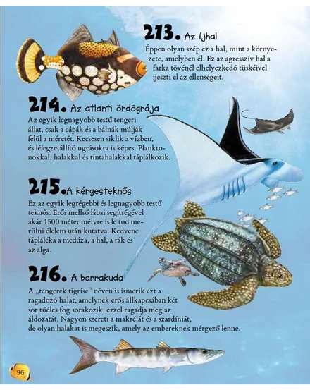 1100 dolog, amit jó, ha tudsz a világról