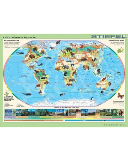 Cartographia A Föld növény- és állatvilága térkép 68 x 49, fémléces - Stiefel 2000000009346