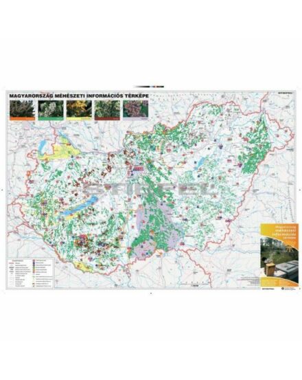 Cartographia Magyarország méhészeti információs térképe - Stiefel 2000000007403