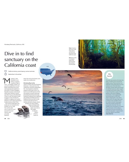 The Joy of Wild Swimming Lonely Planet