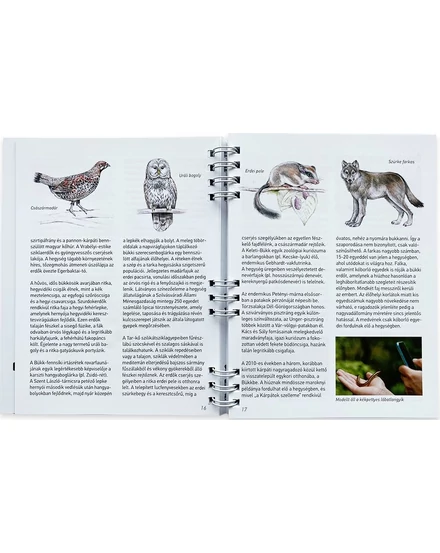 Cartographia A Bükk legszebb túrái túrakönyv - 9786158184847
