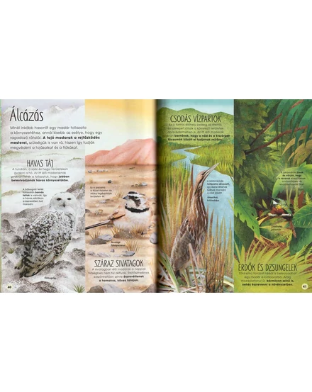 Cartographia A madarak lenyűgöző sokszínűsége -HVG-9789635652723