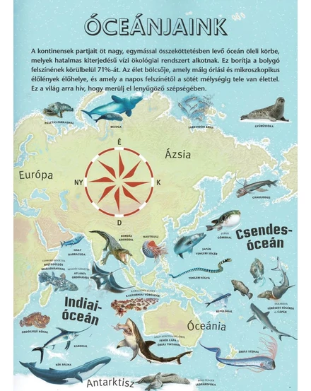 Cartographia Atlasz az óceánokról - Napraforgó-9789634833246