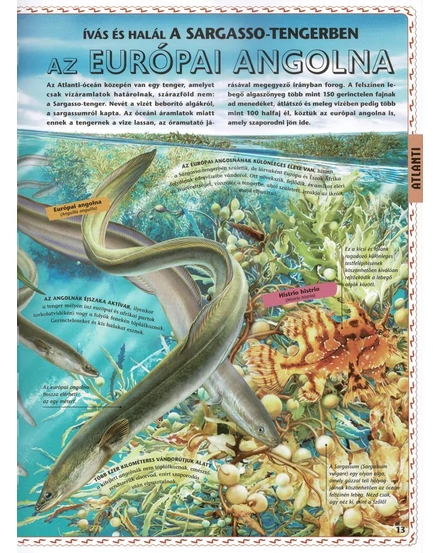 Cartographia Atlasz az óceánokról - Napraforgó-9789634833246
