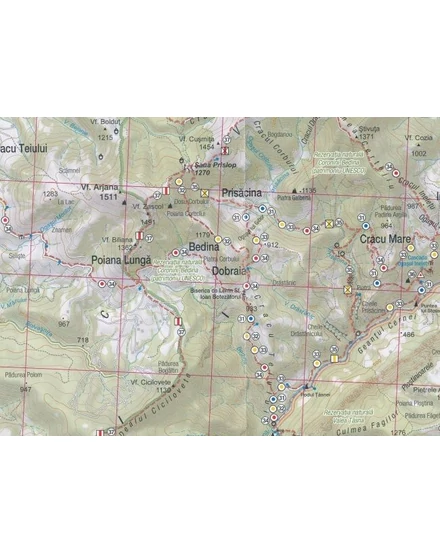 Cartographia Cserna-völgye, Mehádiai-hegység turistatérkép MN14 -  Schubert & Franzke 5948490930634